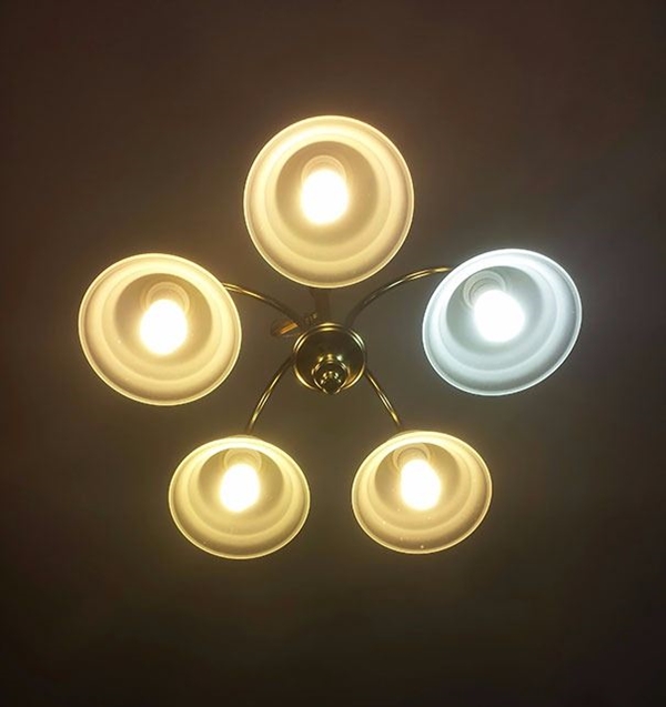 Foto - Bu fotoğraflar herkesi rahatsız ediyor! Çünkü...