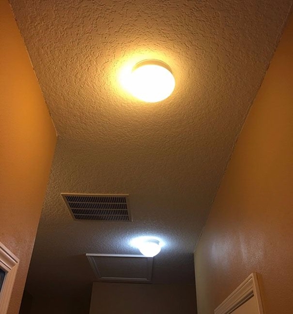 Foto - Bu fotoğraflar herkesi rahatsız ediyor! Çünkü...