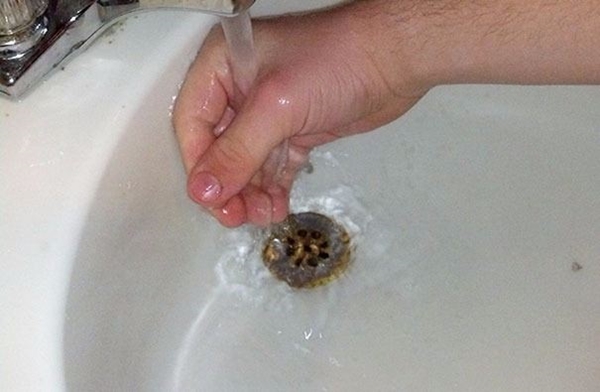 Foto - Bu fotoğraflar herkesi rahatsız ediyor! Çünkü...