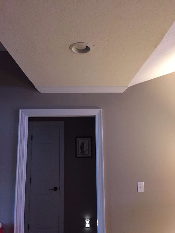 Foto - Bu fotoğraflar herkesi rahatsız ediyor! Çünkü...