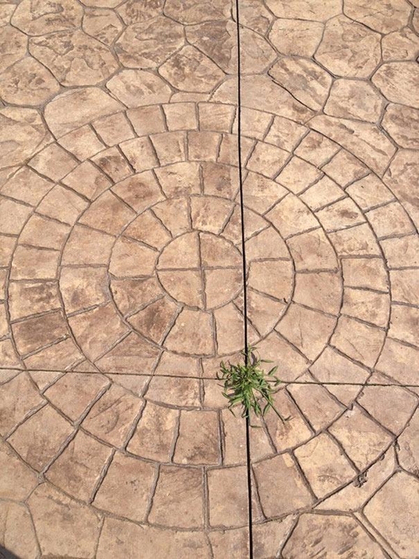 Foto - Bu fotoğraflar herkesi rahatsız ediyor! Çünkü...