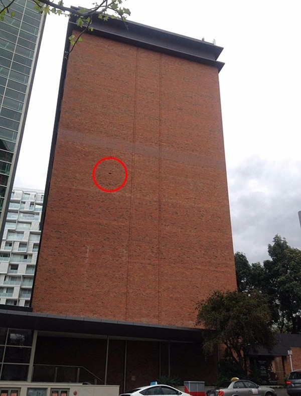 Foto - Bu fotoğraflar herkesi rahatsız ediyor! Çünkü...