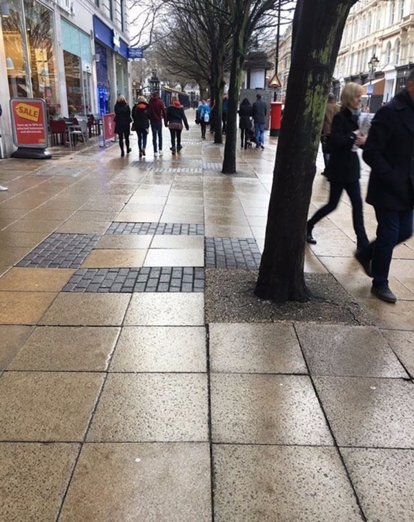 Foto - Bu fotoğraflar herkesi rahatsız ediyor! Çünkü...