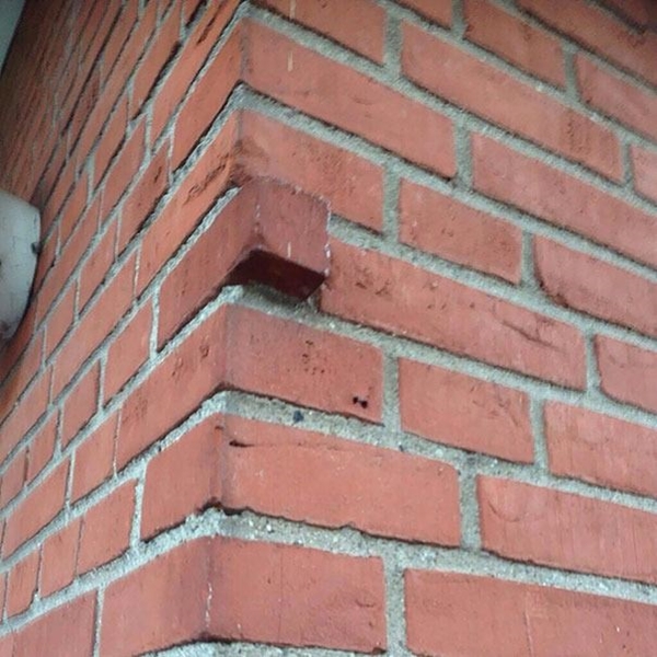 Foto - Bu fotoğraflar herkesi rahatsız ediyor! Çünkü...