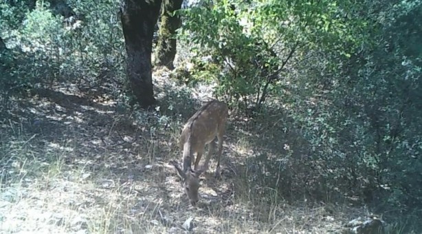 Foto - Bu fotoğraflar Isparta'da çekildi