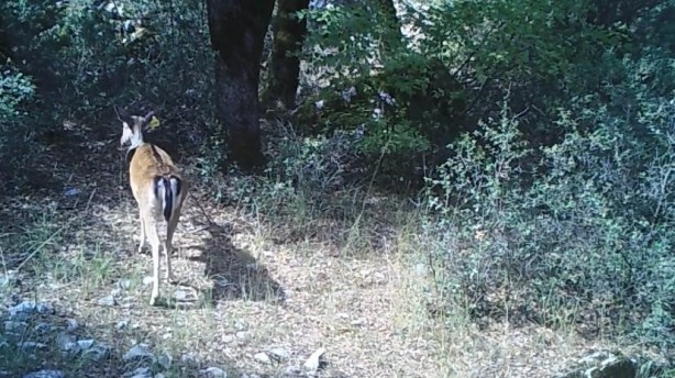 Foto - Bu fotoğraflar Isparta'da çekildi