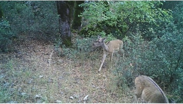 Foto - Bu fotoğraflar Isparta'da çekildi