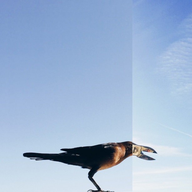 Foto - Bu fotoğraflar şaşırtıyor