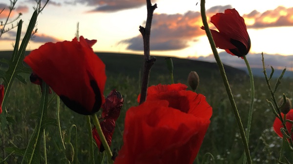 Foto - Bu fotoğraflar tam profillik! Kars'ta gün batımı böyle görüntülendi