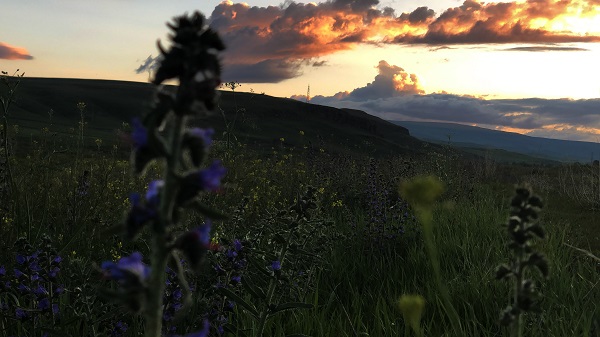Foto - Bu fotoğraflar tam profillik! Kars'ta gün batımı böyle görüntülendi