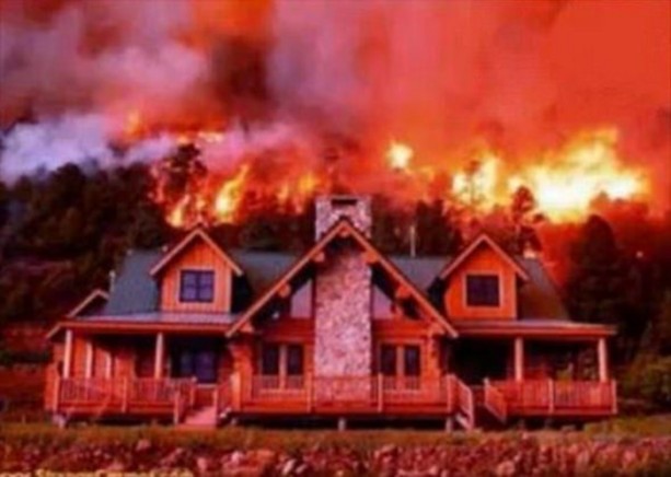 Foto - Bu fotoğraflar tamamen gerçek!