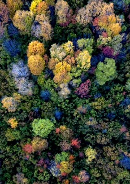 Foto - Bu fotoğraflara hayran kalacaksınız