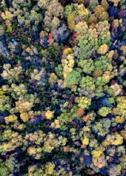 Foto - Bu fotoğraflara hayran kalacaksınız