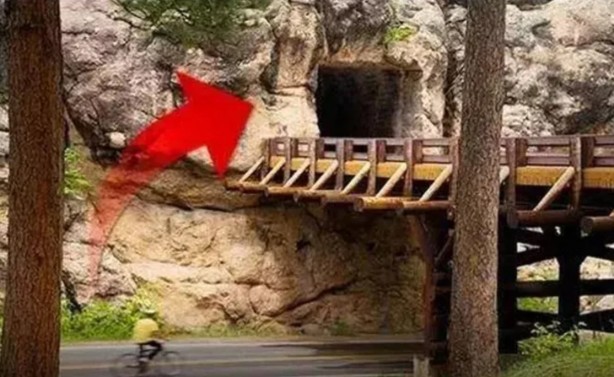 Bu fotoğraflara iyi bakın, çünkü gerçekte görmek mümkün değil! İşte dünyanın en iyi korunan yerleri