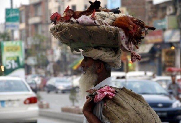 Foto - Bu görüntüleri sadece Hindistan'da görebilirsiniz!