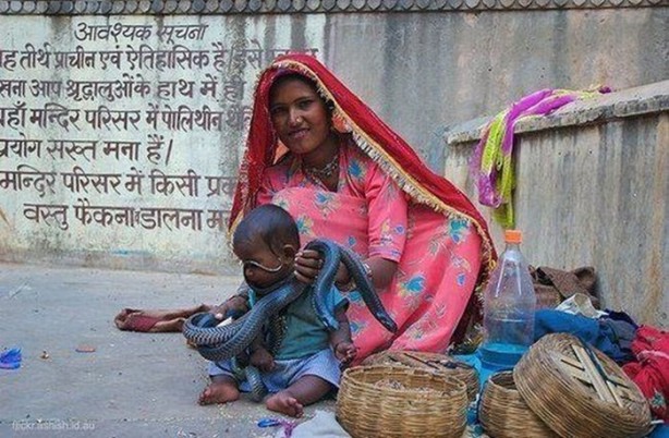 Foto - Bu görüntüleri sadece Hindistan'da görebilirsiniz!