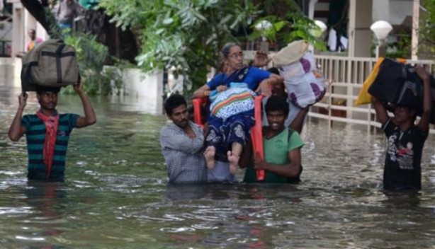 Foto - Bu görüntüleri sadece Hindistan'da görebilirsiniz!