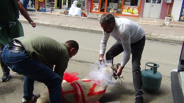 Foto - Bu gelenek Kars'ta halen sürüyor