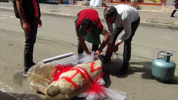 Foto - Bu gelenek Kars'ta halen sürüyor