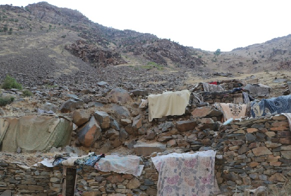 Foto - Bu gelenekten vazgeçilmiyor! Bu buzdolabı tam bir asırlık
