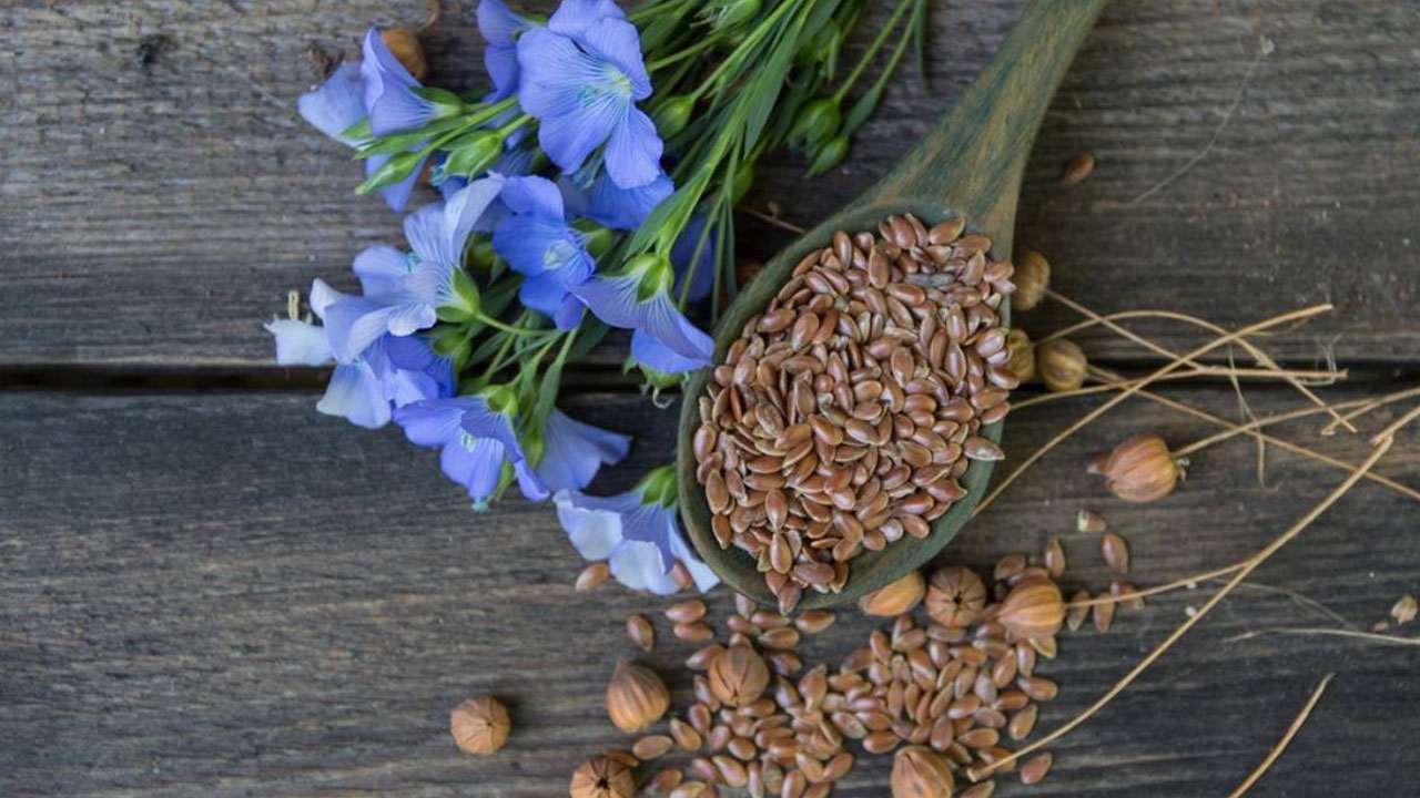 Foto - Bu gerçeğe inanamayacaksınız! Keten tohumu neden her mutfakta olmalı?