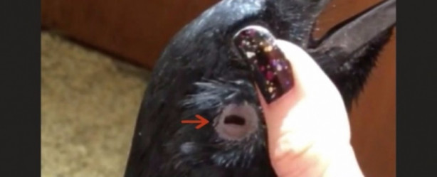 Foto - Bu gerçekleri duyunca çok şaşıracaksınız!