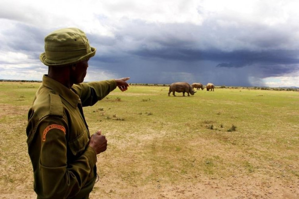 Foto - Bu gergedanlardan sadece 3 tane kaldı!