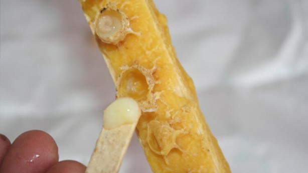 Foto - Bu gıda terörüne dur deyin! Yeni sahtecilik yöntemleri pes dedirtti