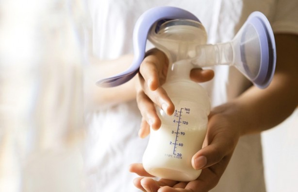 Foto - Bu gıda vücuttaki tüm zehri atıyor