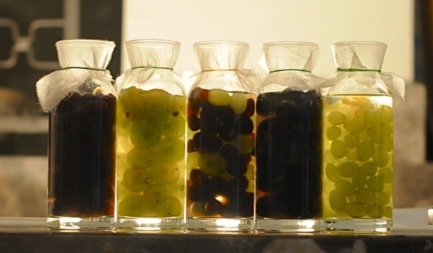 Foto - Bu gıdalar bozulmuyor