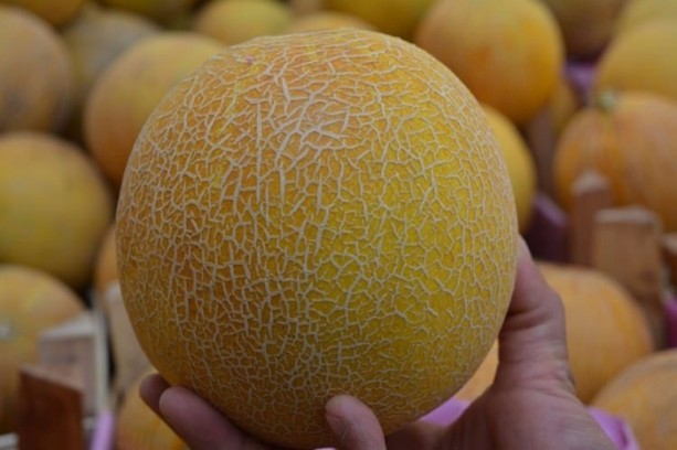 Foto - Bu gıdalar tehlike saçıyor!