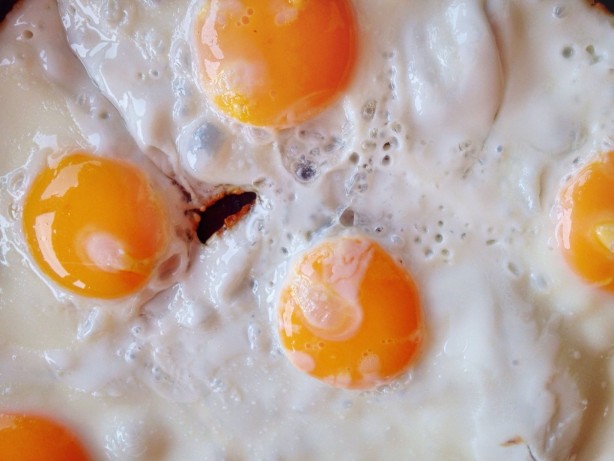 Foto - Bu gıdalar tekrar ısıtıldığında tehlike saçıyor