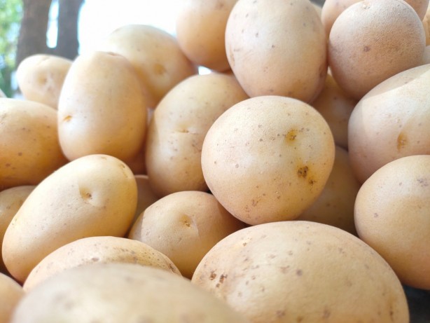 Foto - Bu gıdalar tekrar ısıtıldığında tehlike saçıyor