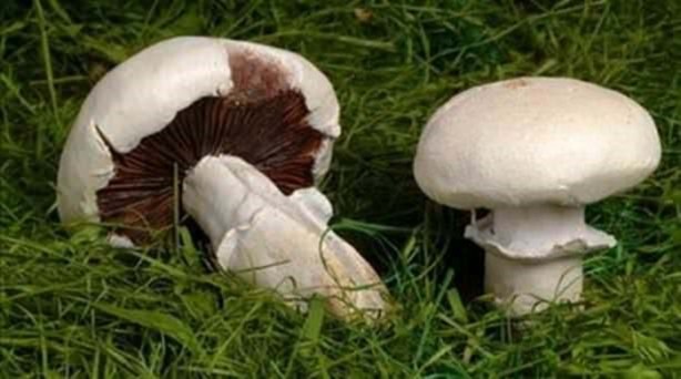 Foto - Bu gıdalara dikkat edin!