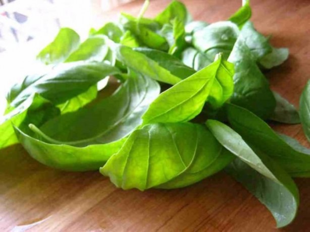 Foto - Bu gıdaları buzdolabında saklamayın!