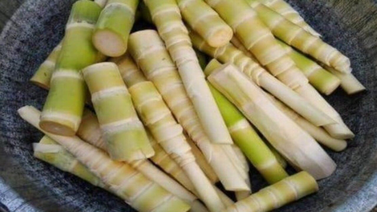 Foto - Bu gıdaları tüketirken dikkat! İşte çiğ yediğiniz zaman zehir saçan besinler