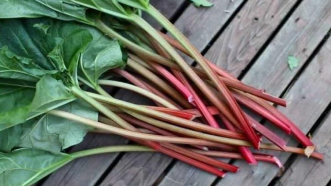 Foto - Bu gıdaları tüketirken dikkat! İşte çiğ yediğiniz zaman zehir saçan besinler