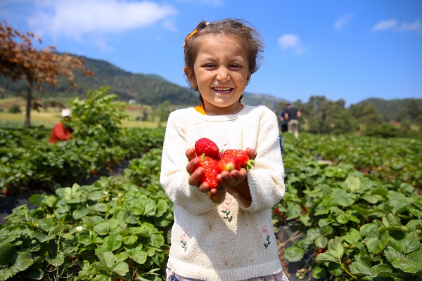 Foto - Bu girişim göçü tersine çevirdi