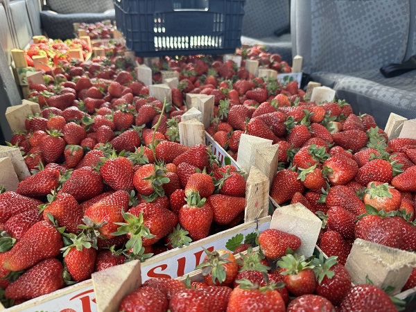 Foto - Bu girişim göçü tersine çevirdi