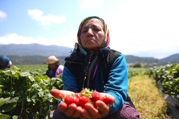 Foto - Bu girişim göçü tersine çevirdi