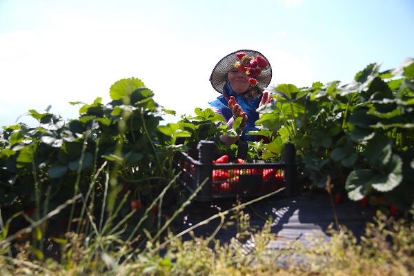Foto - Bu girişim göçü tersine çevirdi