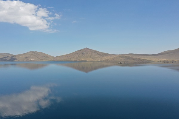 Foto - Bu göl sıcaktan kavrulan kuşların sığınağı