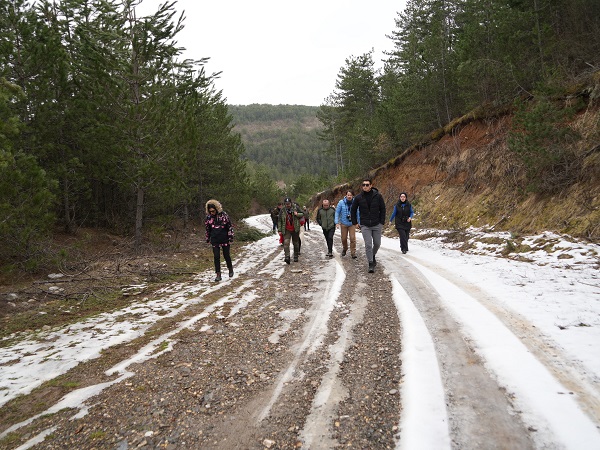 Foto - Bu gölet herkesi mest ediyor
