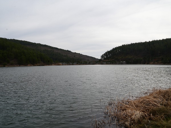 Foto - Bu gölet herkesi mest ediyor
