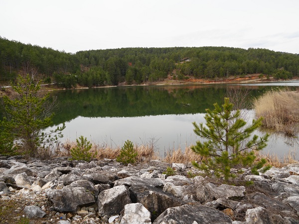 Foto - Bu gölet herkesi mest ediyor