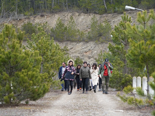 Foto - Bu gölet herkesi mest ediyor