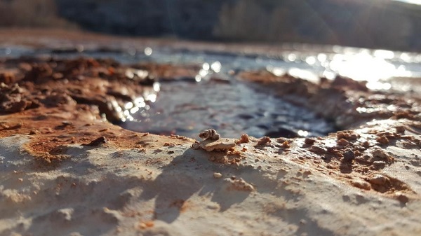 Foto - Bu gölün bir örneği daha yok