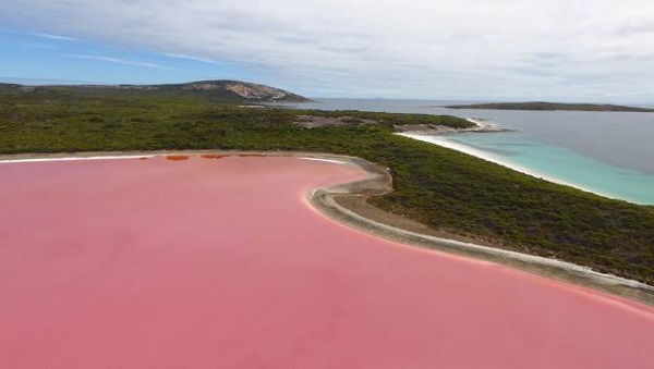 Foto - Bu gölün suyu pembe! Sır sonunda çözüldü
