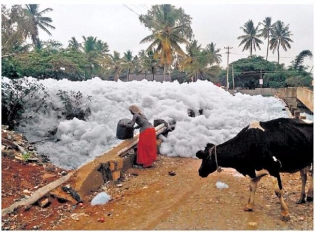 Foto - Bu gördüğünüz kar değil!