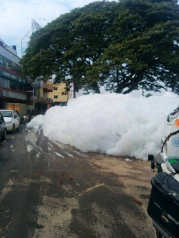 Foto - Bu gördüğünüz kar değil!